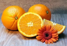 Pianta arancio varietà - arancio,,