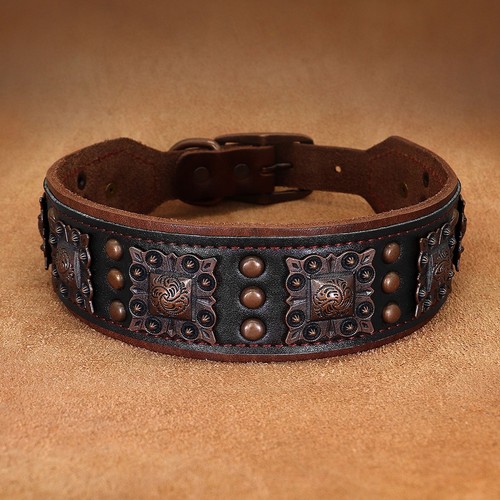 Collare per cani - , borchie