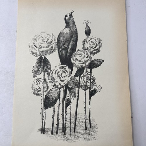 Stampa uccello tra - , rose