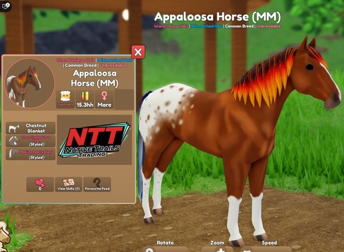 Wild horse islands - horse,