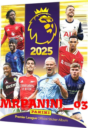 Premier league 2024 2025 - premier,