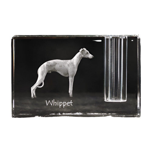 Whippet piccolo levriero - piccolo,