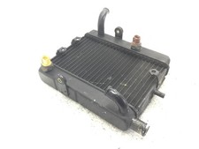 RADIATORE ACQUA LIQUIDO RAFFREDDAMENTO MOTORE YAMAHA MAJESTY YP 250 2000 2001