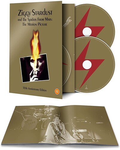 David bowie ziggy stardust - david,