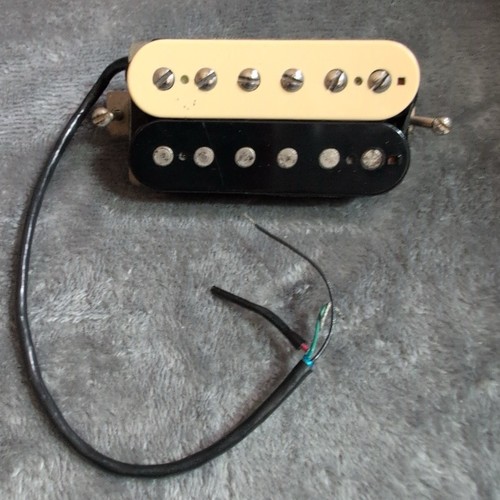 Anni seymour duncan - seymour, jbj
