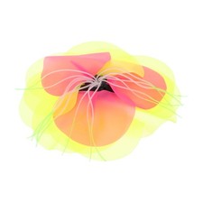  Piante Acquatiche Di