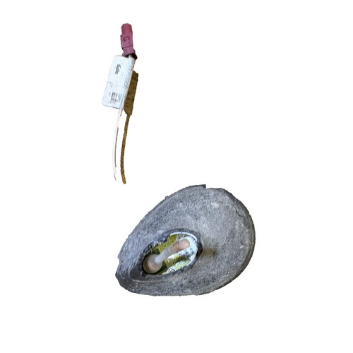Supporto base antenna radio