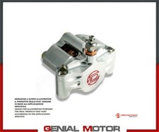 Pinza 2 Pistoni Radiale