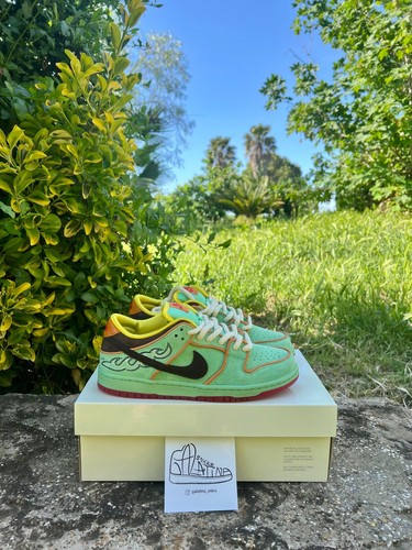 Nike dunk low rodeo - low, sb