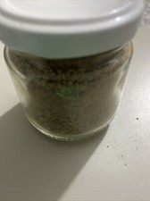 TARTUFO NERO ESTIVO POLVERE 50