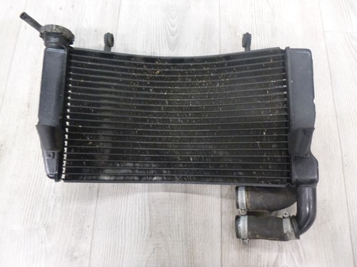 Radiatore ducati - radiatore,