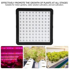 300W 100LED Chips Lampada