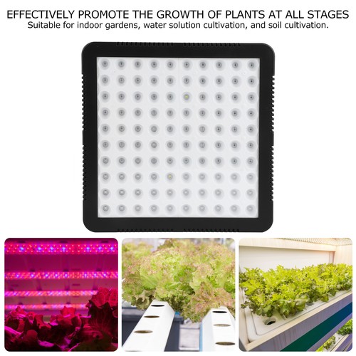 300w 100led chips lampada - 100led,