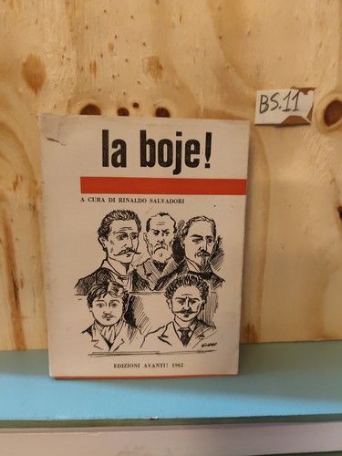 Boje rinaldo salvadori - boje,