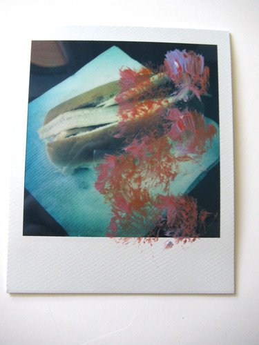 Araki polaroid originale - n.,