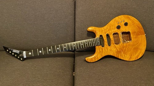 Hohner professional lion - sg,