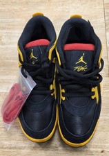 Nike Air Jordan 4 RM "Bruce