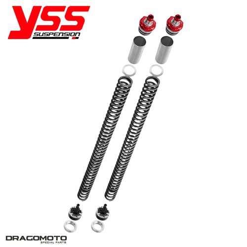 Kit forcella kawasaki 300 - ex,