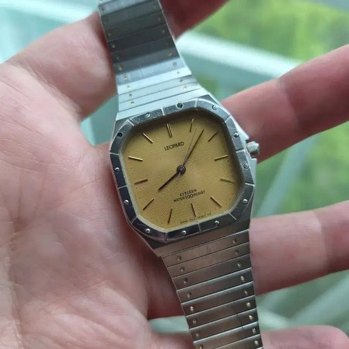 1981 citizen leopard - 1981,