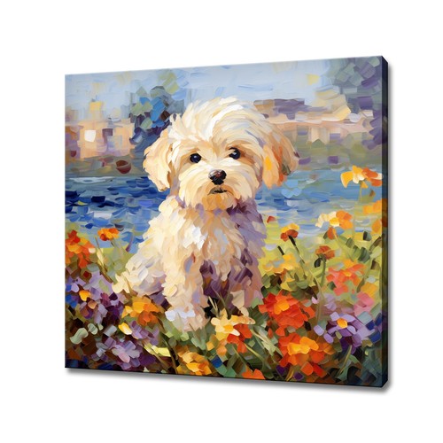 Carino maltipoo cane cucciolo - cane,