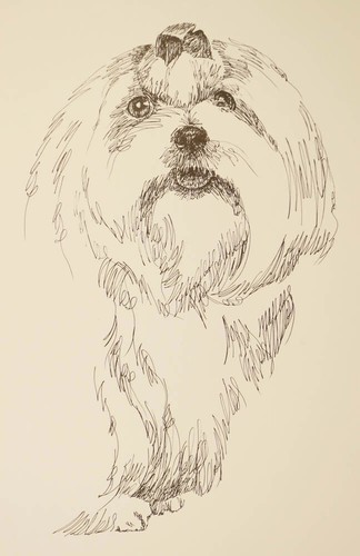 Stampa ritratto arte cane