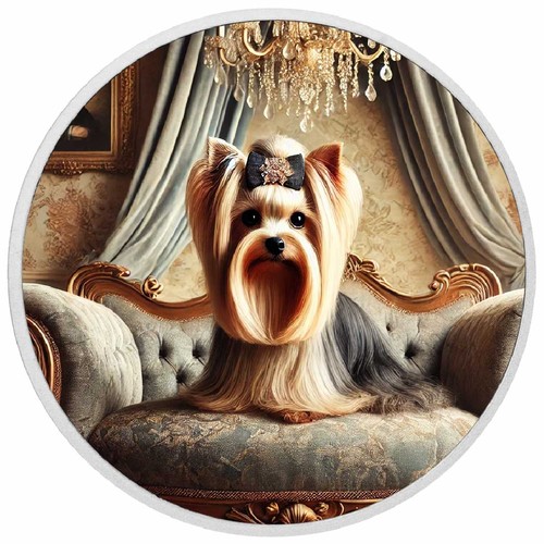 Eleganza reale yorkie - reale:,