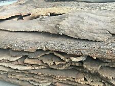 Corteccia Sughero "Lingue di gatto/Pelle coniglio" presepe artigianale terrari