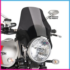 PUIG CUPOLINO UNIV. NAKED PER KAWASAKI W650 99-06 FUME SCURO