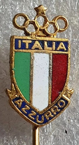 Distintivo coni azzurri - distintivo,