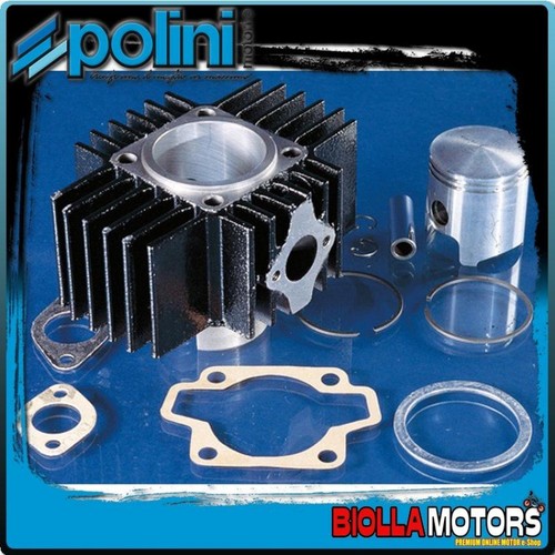 115 0068 gruppo termico polini - 115.0068,