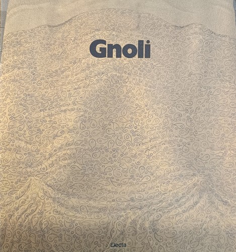 Gnoli 1985 electa - aa.,