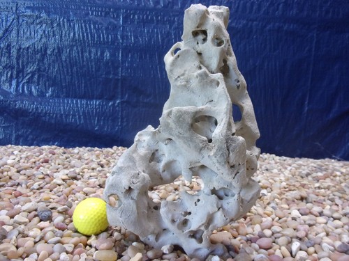 Texas holey rock - 04#,