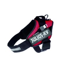 Pettorina Cane Guida IDC