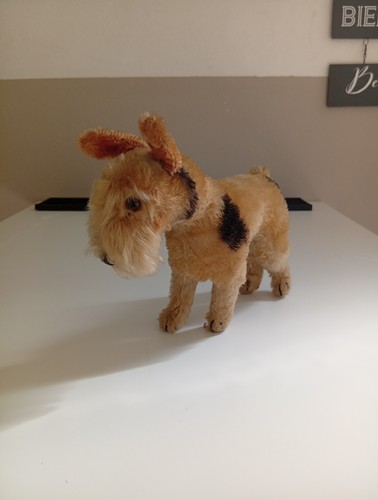 Steiff fox terrier - steiff, foxy