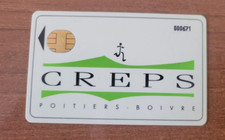 CARTE A PUCE  -  BULL SOLAIC