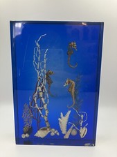 Scultura Plexiglas Creature Marine Ippocampo Coralli
