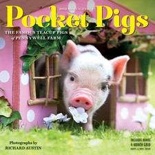 Pocket Pigs 2019 Calendar: The