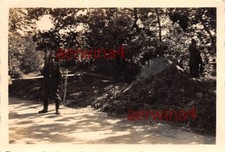 Telo tenda albero battuto