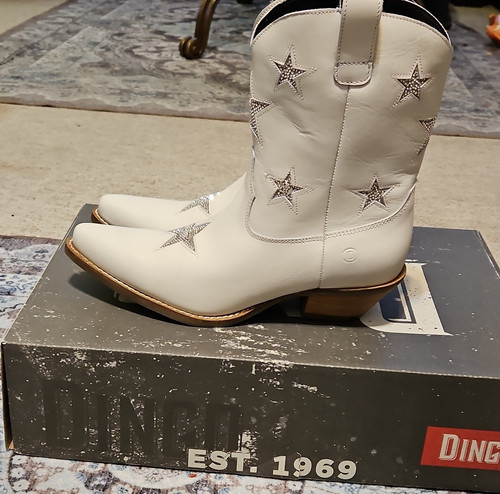 Stivaletto western dingo star - western,