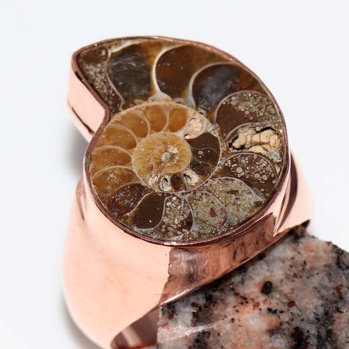 Anello fossile ammonite uomo