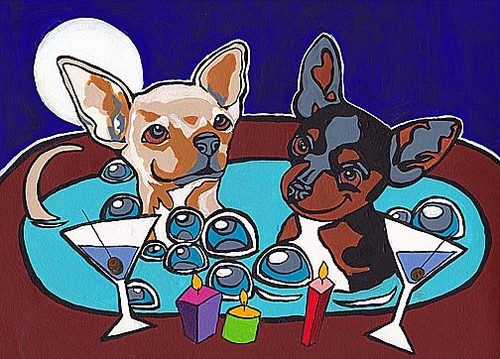 Chihuahua vasca idromassaggio - chihuahua,