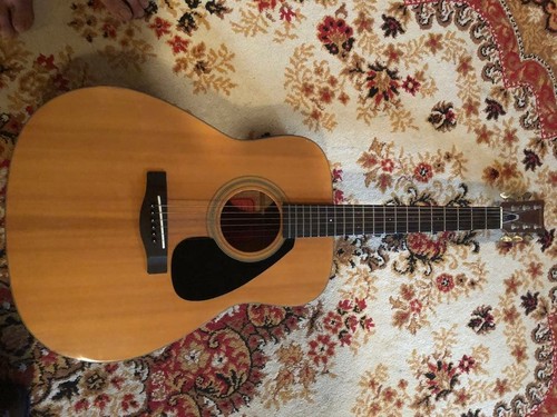 Chitarra elettrica acustica