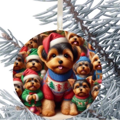 Yorkshire terrier cane - terrier,