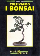COLTIVIAMO I BONSAI VANNA