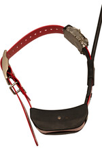 Collare elettrico GPS SportDOG