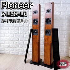 Pioneer S-LM2-LR coppia di