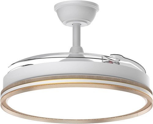Lampada ventilatore soffitto - lampada,