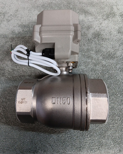Hsh flo dn50 vie - 2",