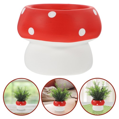 Grande vaso per orchidee - vaso,