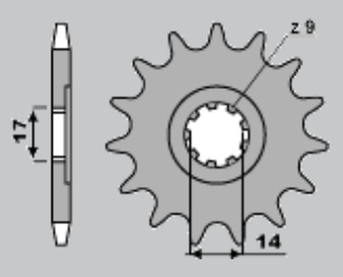 Pignone anteriore 210 - anteriore,